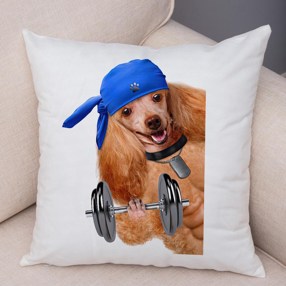 Funny Cat Dog Cushion Cover Fitness Animal Dumbbell Print Soft Fabric Living Room Sofa Home Decor Pillow Case