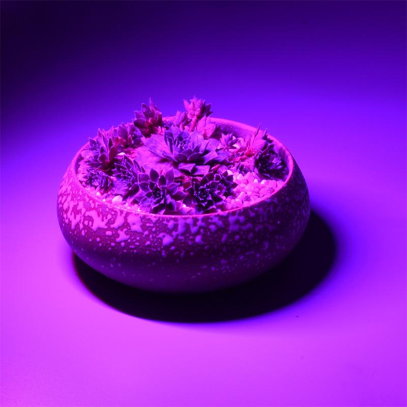 Лампа для растений Гидропонная USB светодиодная фитолампа полного спектра Гибкое освещение для выращивания цветов Уникальная теплица для рассады цветов