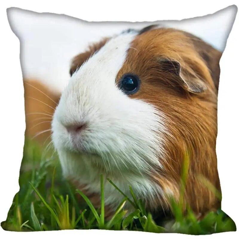 Наволочка для гостиной с морской свинкой в ​​современном доме