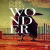 Wonder by Chris Emery Paperback Book 9781784633707