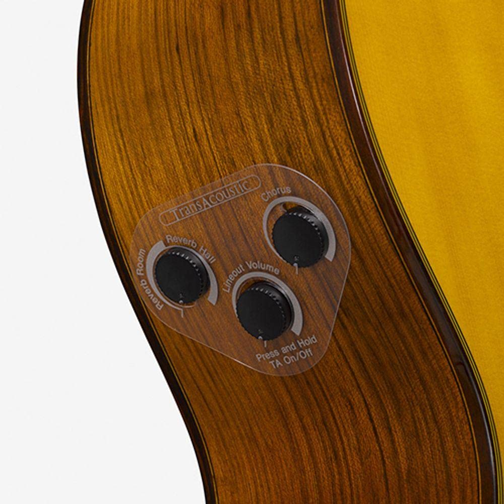 Yamaha Transacoustic Guitar Classical Guitar CG-TA