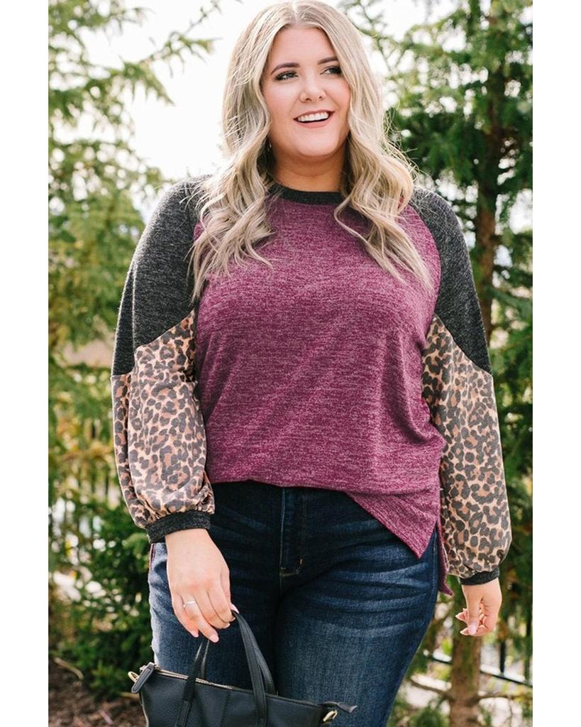 Azura Exchange Leopard Colorblock Long Sleeve Plus Size Top
