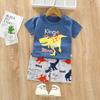 Kids Short Sleeve T-shirt + Shorts Set Summer