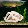 Resin Animal Skull Ornament Lifelike Fish Tank Ornament Dinosaur Head Skull Ornament  Aquarium