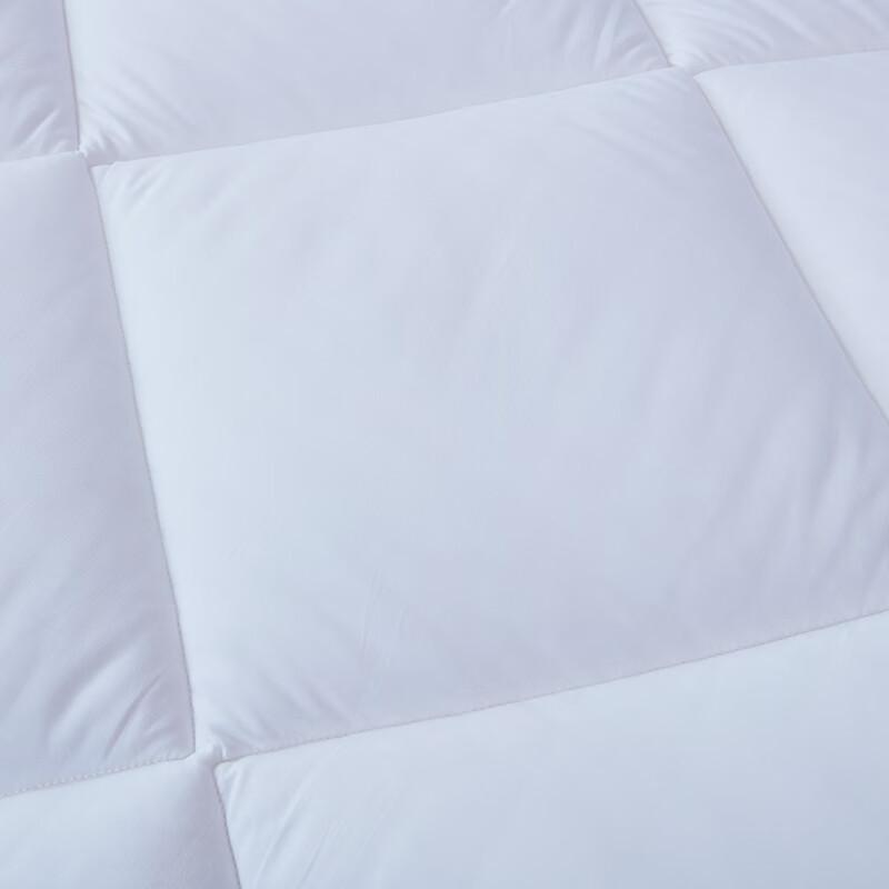 Mengjie Down Alternative Quilt Insert