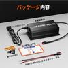 LiTime 58.4V 10A Ion Phosphate Charger, 0 V Charging Function, LiFePO4