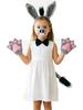 Umorden Child Adult Animals Lion Tiger Donkey Milk Cow Costume Accessories Ears Nose Tail Gloves Set