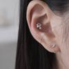 reinheart Star mushroom piercing