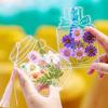 20 шт. DIY прозрачные закладки из сухоцветов изысканный дизайн креативные цветочные растения прозрачные закладки украшения