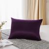 25 Momme  Natural Mulberry Silk Pillowcase,Both Sided Pure Silk Pillow Cover Gifts for Women,Pure Silk Pillowcsae For Hair