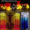 Long Imitation Rayon LED Classical Dance Fan 1.5m Dancer Practice Silk Fans  Dance Accessories