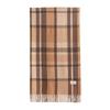Plaid Scarf Autumn and Winter Imitation Cashmere Shawl Warm Scarf Versatile Fringe Fashion High-end New Style Thickened for Men and Women