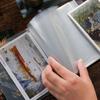 Ticket Card A6 Postcard Storage Book Plastic Portable Collection Photo Album Large-capacity 40 Sheets Cards Holder Teenagers