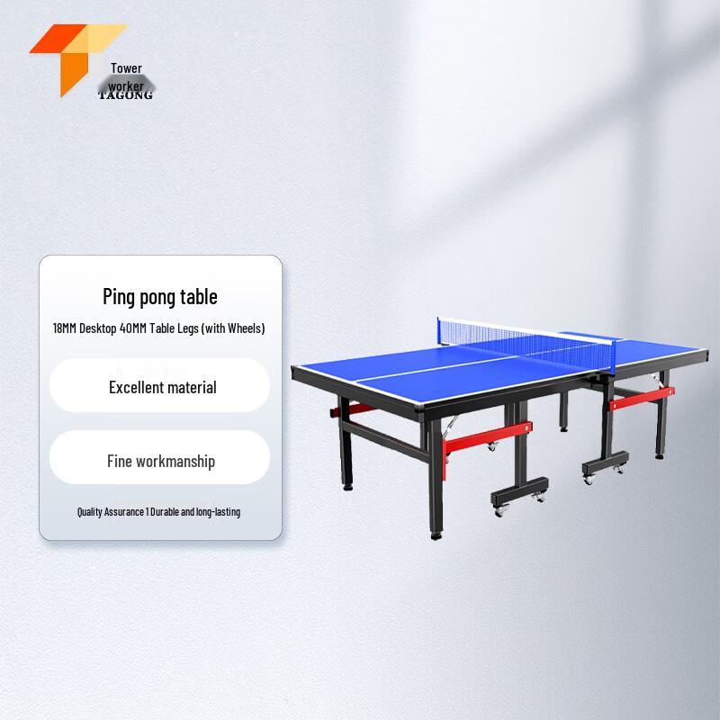 Tagong Standard Foldable Indoor Table Tennis Table