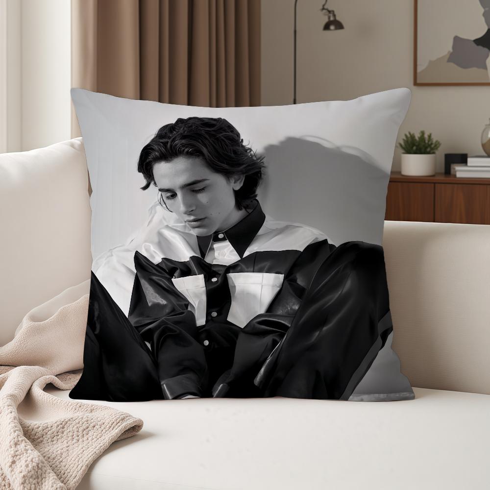 Actor Timothee Chalamet Pillow Case Suitable For Bedrooms Living Rooms Cars Home Decoration