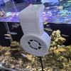 Настенный вентилятор для охлаждения аквариума USB Тихий Охладитель воздуха для аквариумов Контроль температуры аквариума Мини