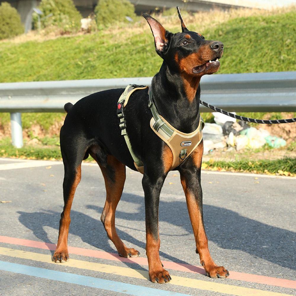 Adjustable Vest Type Dog Harness Reflective No-Pull Chest Strap Dog Chest Strap Training Use