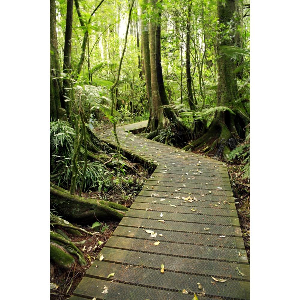 Spring Natural Scenery Forest Photography Backdrop Tropical Jungle Green Forest Tree Adventure Baby Portrait Photo Background