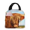 Забавные сумки для обеда Highland Cow для мужчин и женщин, термобокс для обеда, сумка-холодильник для работы, путешествий, пикника, разноцветные