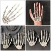 Game Supplies Party Decoration Haunted House Skull Hand Halloween Props Photo Props Human Skeleton