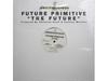 12-дюймовая пластинка FUTURE PRIMITIVE - The Future GM048 Groovilicious 1998 США Танцевальная и электронная Б/У