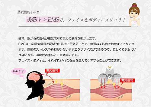 Belulu Platinum EMS Facial Roller, Beauty Stick, Face Roller KRD1050