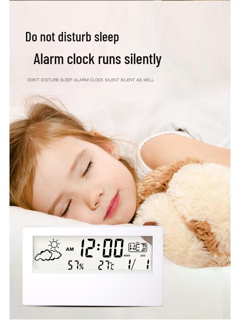 High-Precision Indoor Electronic Thermometer & Hygrometer - Wall-Mounted