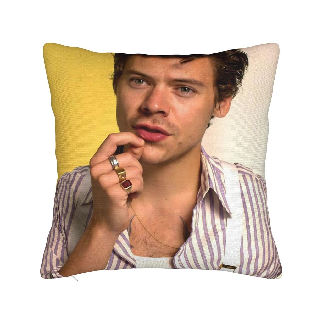 Harrys Styles Singer Pillowcase Soft Polyester Cushion Cover Decorations Pillow Case Cover Seater Zippered cm