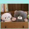 Cute Plush Bear Toy Stuffed Animal Doll Cartoon Decoration Kids Gift Birthday