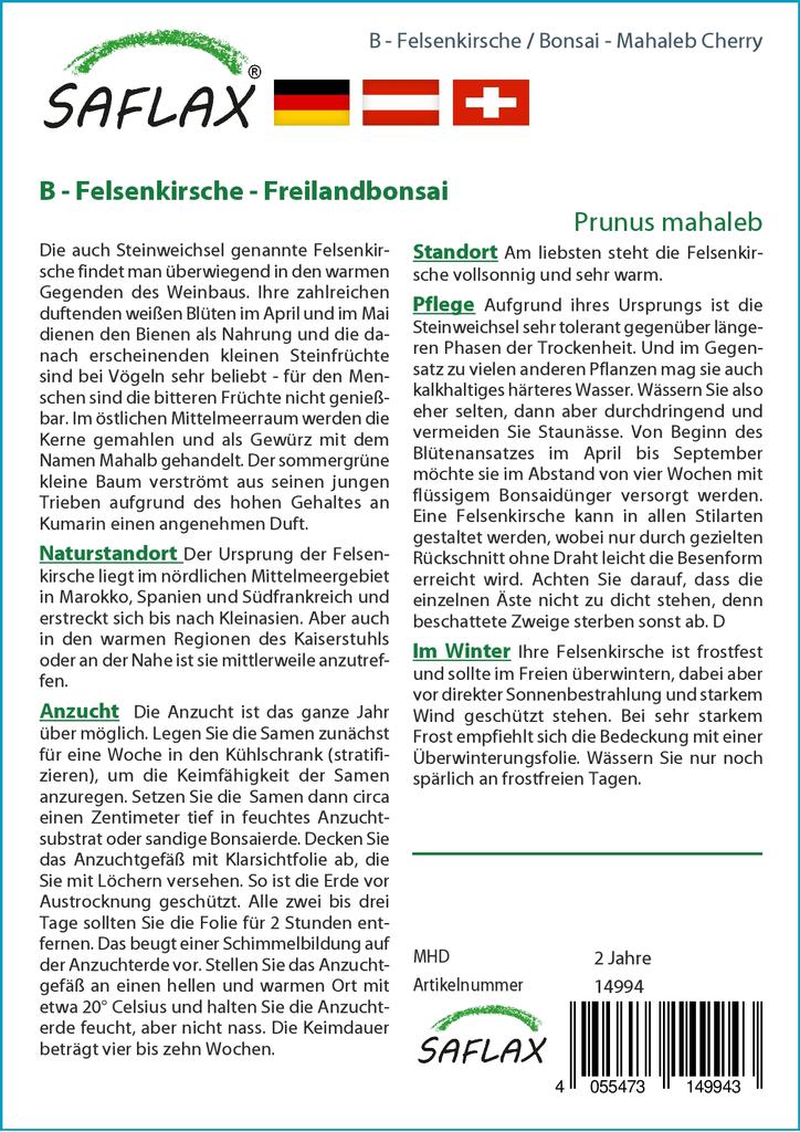 SAFLAX Garden in the Bag - Бонсай - Махалебская вишня - 30 семян - С субстратом в подходящем пакете-стойке - Prunus mahaleb