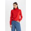 Regular Fit Soft Textured Turtleneck Basic Plain Knitwear Sweater H1651az24wn