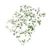 Artificial Vine String Light Maple Green Leaf Garland Outdoor Courtyard Decoration USB with Remote