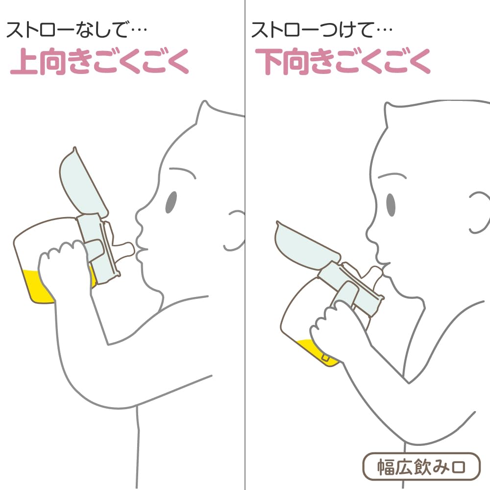 Richell Tri Mug Set Premium, Light Gray (120611), for Babies Up To 5 Months Old. Includes a Mug, Insulated Water Bottle, and Straw for Training.