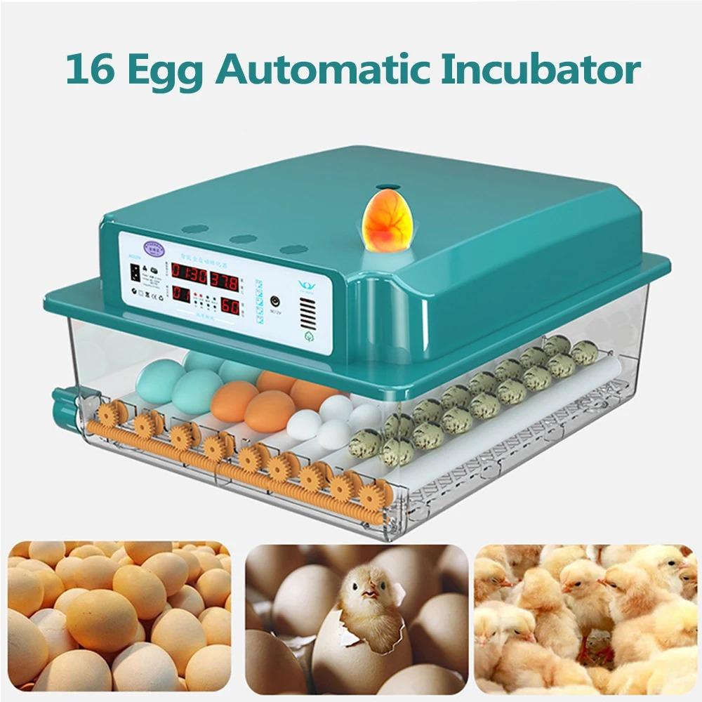 16-яйцевые инкубаторы для куриц, уток, гусей, голубей, перепелов Автоматическое инкубационное оборудование Автоматическая кормушка для воды Поворот яиц Вилка EU