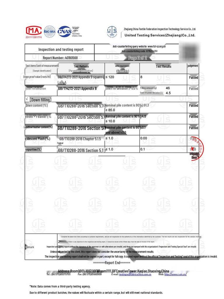 SanCai Plus Size Chinese Style Plum Blossom Duck Down Jacket