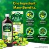 Dabur Чистый сок Амлы, бутылка 1 л. Натуральный напиток из индийского крыжовника. Богатый источник витамина С. Травяной напиток для здоровья.