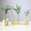 Decorative Hydroponic Tube Test Tube Vase Transparent Glass Universal Vases for Home