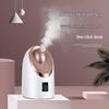 MKS Nano Cold & Hot Spray Facial Steamer