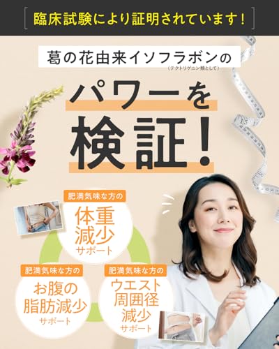Fat Down Support Smoothie: Reduces weight and belly fat. Diet meal replacement. Shin Nippon Health. 1 meal replacement (120g, mixed berry).