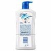 Safeguard Aloe Moisturizing Body Wash & Head & Shoulders Shampoo Set