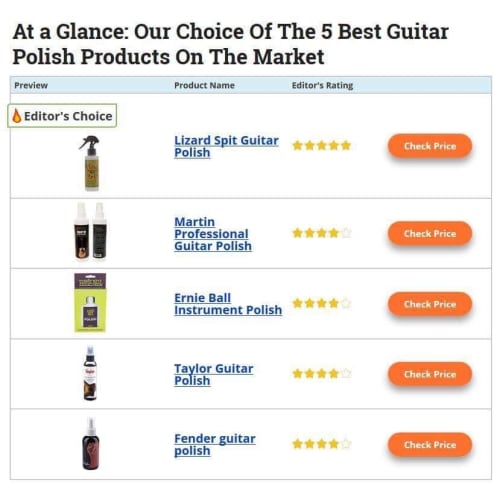 Lizard Spit Guitar Polish