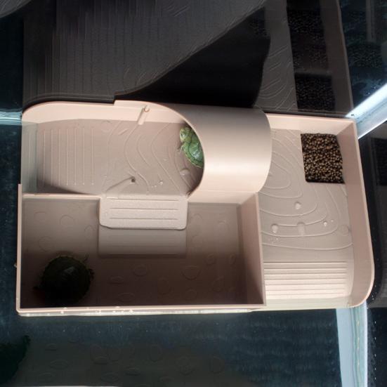 Платформа для купания черепах с корытом для еды. Лестница для подъема. Домик. Пандус для черепахи.