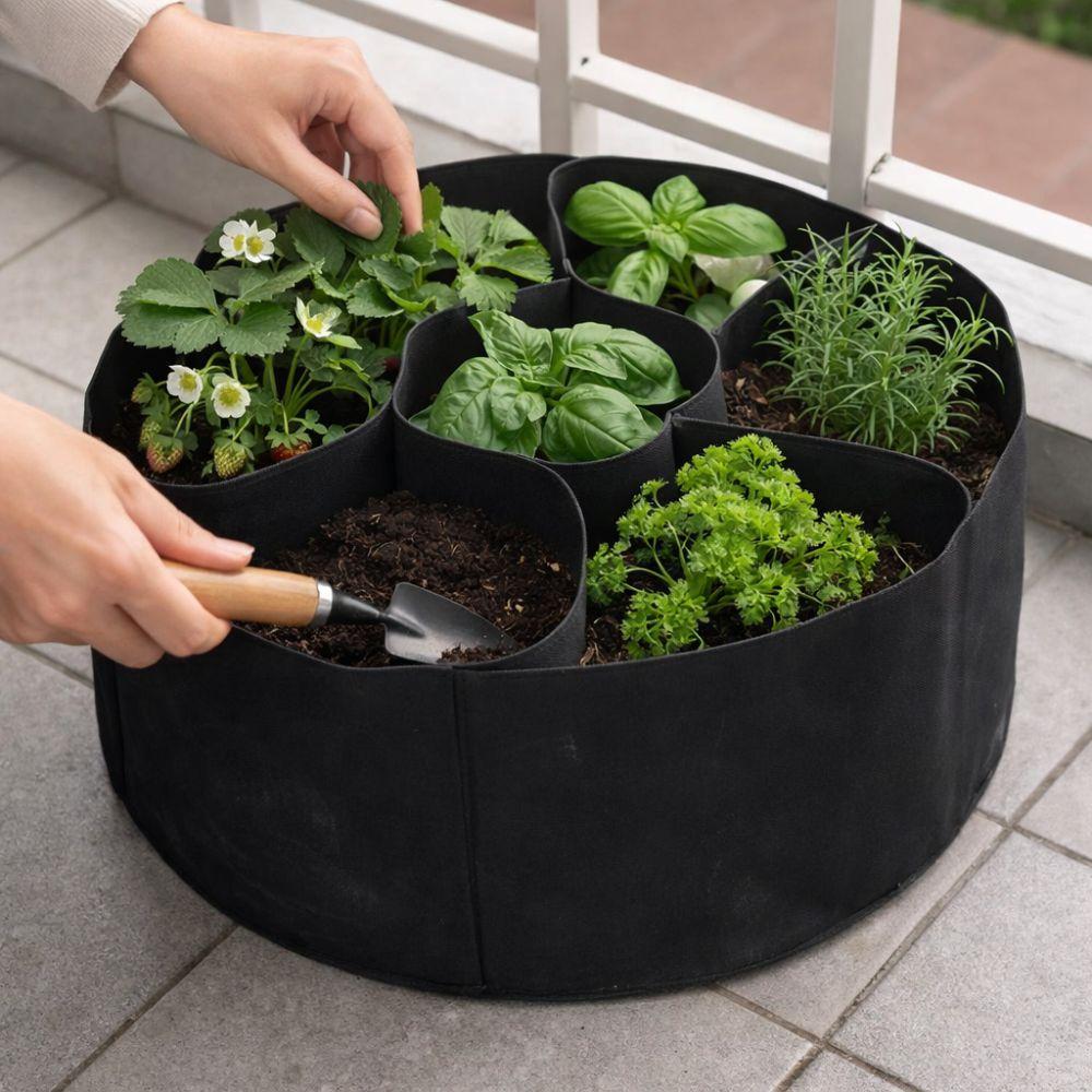 Circular Raised Garden Bed 7 Grids Divided Planter Planting Container  Indoor Outdoor Gardening