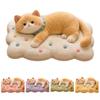 2D Cat  Area Rug Non-Slip Cartoon Carpet Soft Home Decor Carpet  Living Rooms