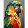 Paint by Numbers Parrot 30 X 40 Cm