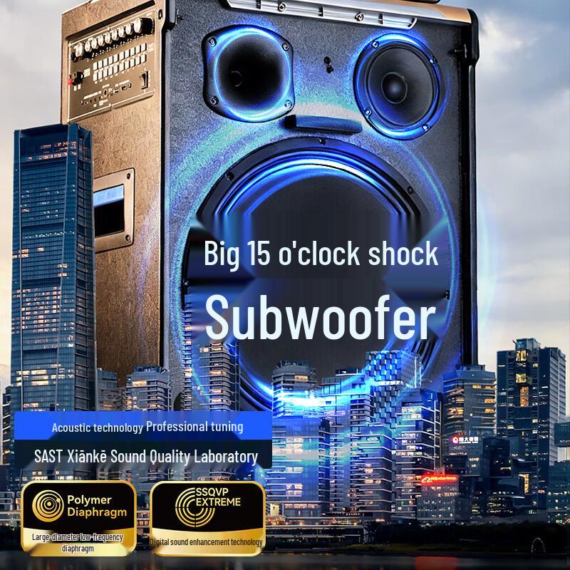 SAST SA-258plus Portable Karaoke Speaker with Display CN plug (adapter included) (CN version)