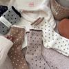 Winter Warm Thickened Polka Dot Plush Socks Women Mid-calf Socks Fall Thickened Padded Warm Socks Home Sleep Floor Sox