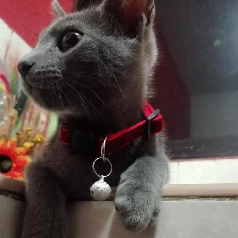 Кошачий ошейник Ошейник для домашней кошки с колокольчиком Ошейник с кошачьей мордочкой Безопасная застежка Кошачий ошейник Блестящий бархатный ошейник