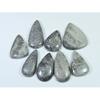 224Cts. Natural Black Fossil Coral Pear Cabochon Loose Gemstone 08 Pcs Lot C-642