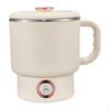 Electric Kettle Tea 1 L Portable Auto Shut Off Folding Home for Indoor Travel Camping Sports